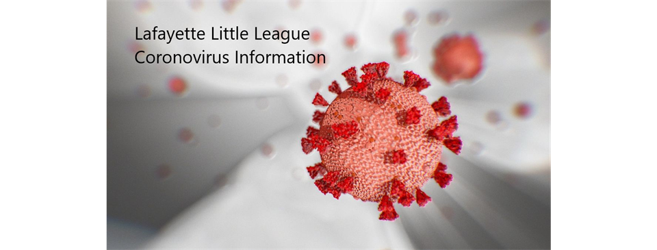Little League Coronvirus Update